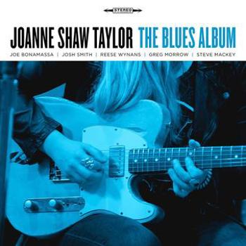 Vinyl The Blues Album (Silver LP) Book