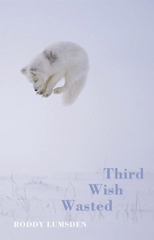 Paperback Third Wish Wasted Book