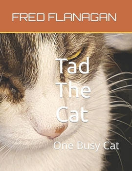 Paperback Tad The Cat: One Busy Cat Book