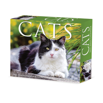 Calendar Cats 2025 6.2 X 5.4 Box Calendar Book