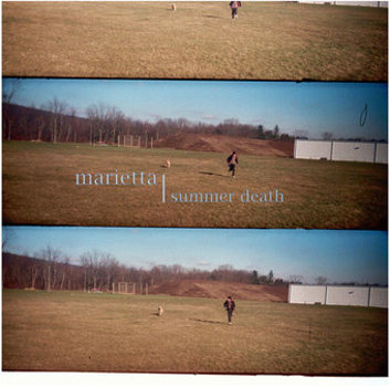 Vinyl Summer Death Book