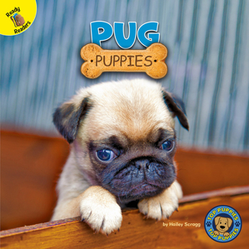 Paperback Pug Puppies Book