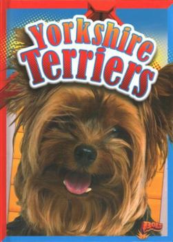 Library Binding Yorkshire Terriers Book