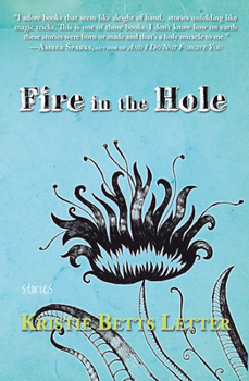 Paperback Fire in the Hole Book