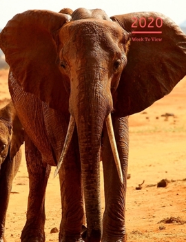 2020 A4 Diary Week To View Planner For All Occasions: | Year Planner For Business, Office, Home, University, College, School, Appointments, Organizer.