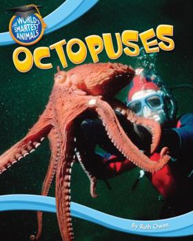 Octopuses - Book  of the World's Smartest Animals