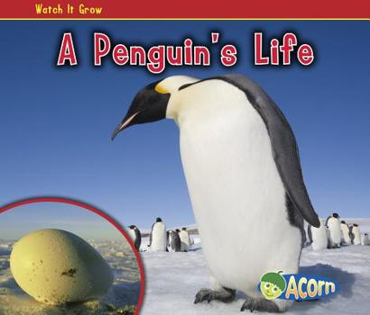 A Penguin's Life - Book  of the Watch it Grow