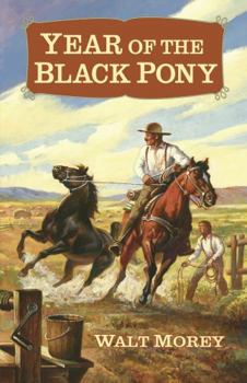 Year of the Black Pony