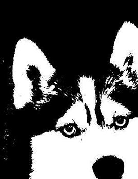 Paperback Husky Composition Book 100 Sheets (200 Pages) 7.44 X 9.69 Book