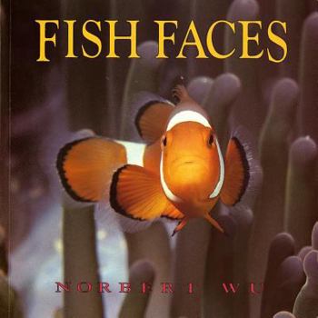 Paperback Fish Faces Book