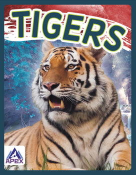 Paperback Tigers Book