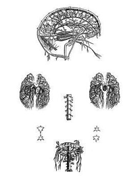 Anatomy Notebook: Cerebral and Abdominal Vessels - Andreas Vesalius Anatomy Art College Ruled Notebook | 110 Pages (Andreas Vesalius White Cover)