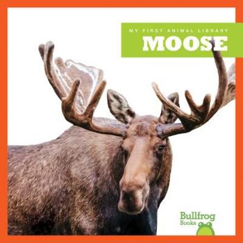Moose - Book  of the My First Animal Library