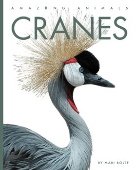 Library Binding Cranes Book