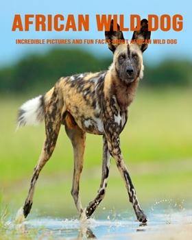 African Wild Dog: Incredible Pictures and Fun Facts about African Wild Dog