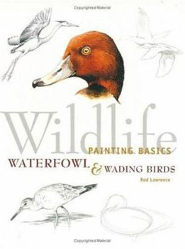 Paperback Wildlife Painting Basics: Waterfowl & Wading Birds Book