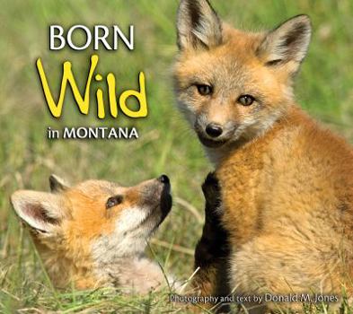 Paperback Born Wild in Montana Book