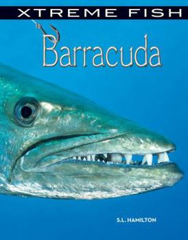 Barracuda - Book  of the Xtreme Fish