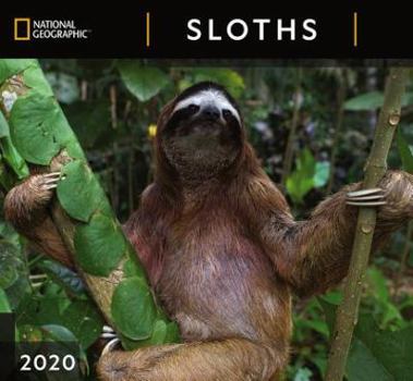 Calendar Cal 2020-National Geographic Sloths Wall Book