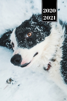 Border Collie Dog Calendar Week Planner 2020 / 2021 - Lying in the Snow: Pup Puppy Doggie Pet Owner Weekly Bullet Journal Notebook Diary in 6” x 9” Inch Pocket Size
