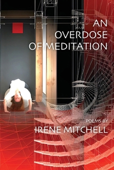 Paperback An Overdose of Meditation Book