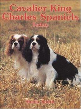 Hardcover Cavalier King Charles Spaniels Today Book