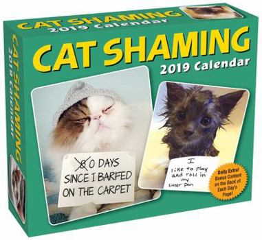 Calendar Cat Shaming 2019 Day-To-Day Calendar Book