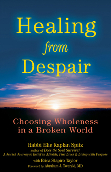 Hardcover Healing from Despair: Choosing Wholeness in a Broken World Book