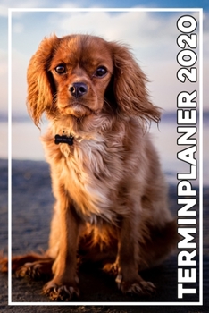 Terminplaner 2020: Jahresplaner von September 2019 bis Dezember 2020 mit Hund - Planer mit 174 Seiten in weiß im Format A5 mit glänzendem Soft Cover. (German Edition)