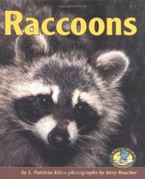 Library Binding Raccoons Book