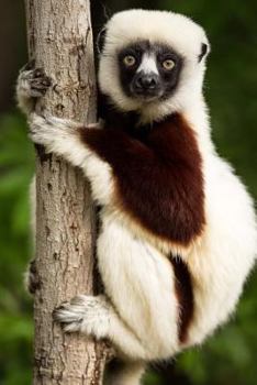 Paperback Too Adorable Coquerel's Sifaka Lemur Madagascar Journal: 150 Page Lined Notebook/Diary Book