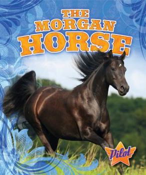 Library Binding The Morgan Horse Book