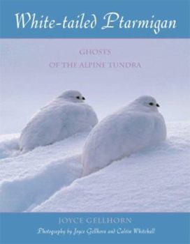 Paperback White-Tailed Ptarmigan: Ghosts of the Alpine Tundra Book