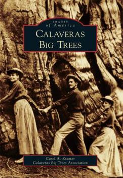 Paperback Calaveras Big Trees Book