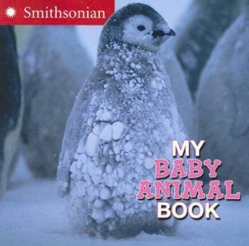 Board book My Baby Animal Book