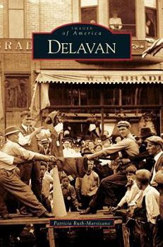 Hardcover Delavan Book