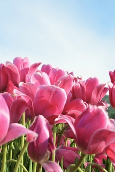 Journal: 150 Dot Grid Sheets, 6x9 Inches, Pink Tulips, Plan Your Day and Organize Your Life, Tracker, Productivity, Diary, Notebook