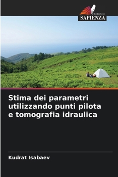 Stima dei parametri utilizzando punti pilota e tomografia idraulica (Italian Edition)