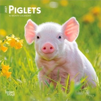 Mini-Disc Piglets 2027 7 X 14 Inch (Hanging) Monthly Mini Wall Calendar Book