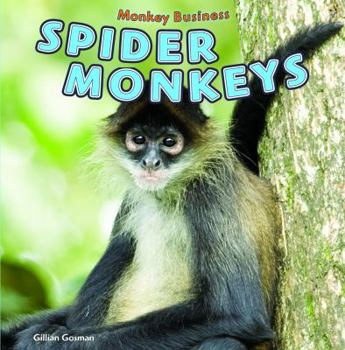 Paperback Spider Monkeys Book