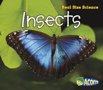 Insects - Book  of the Real Size Science