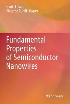 Paperback Fundamental Properties of Semiconductor Nanowires Book