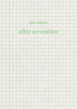 Paperback after november Book