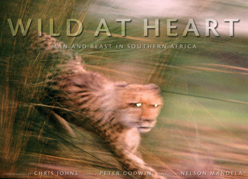 Hardcover Wild at Heart: Man and Beast in Southern Africa Book