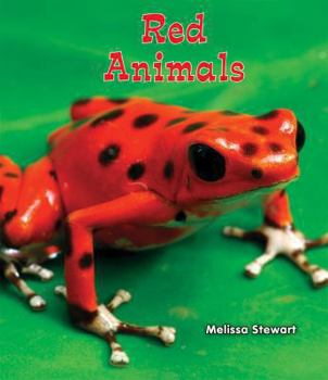 Red Animals - Book  of the All About a Rainbow of Animals