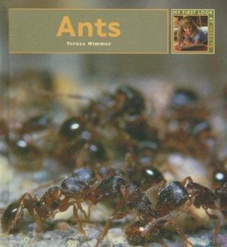 Library Binding Ants Book