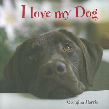 Hardcover I Love My Dog Book