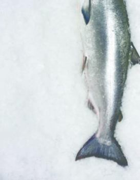 Hardcover Cookery School: Fish (IMM Lifestyle Books) Getting the Best from the Main Ingredient Book