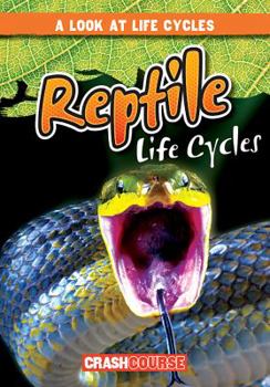 Reptile Life Cycles - Book  of the Look at Life Cycles