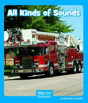 Paperback All Kinds of Sounds Book